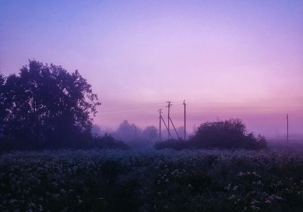 意甲媒体透露：布鲁日俱乐部引进了斯坦科维奇，队中核心球员加沙里有望加盟米兰